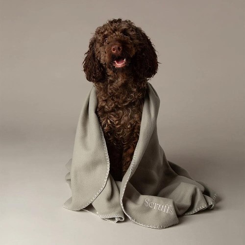 Fleece dog blankets pet - fleece,