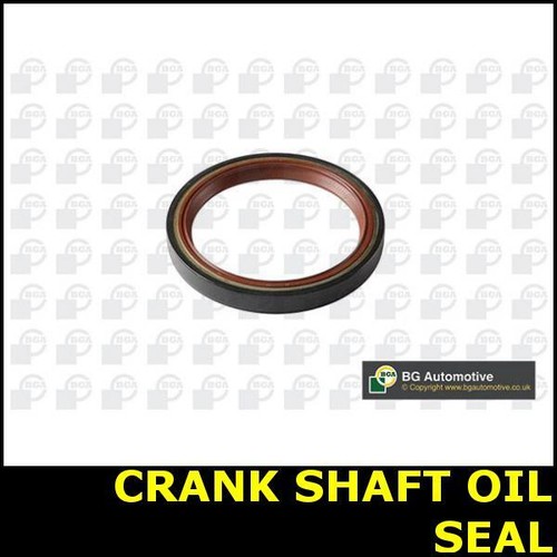 Crank shaft oil - seal, rear