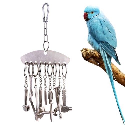 Stainless steel parrot - steel, bird