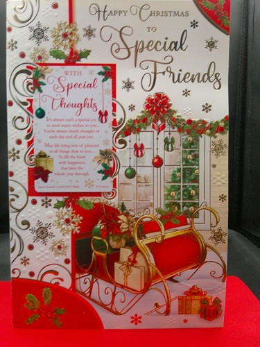 Special friends christmas - special,