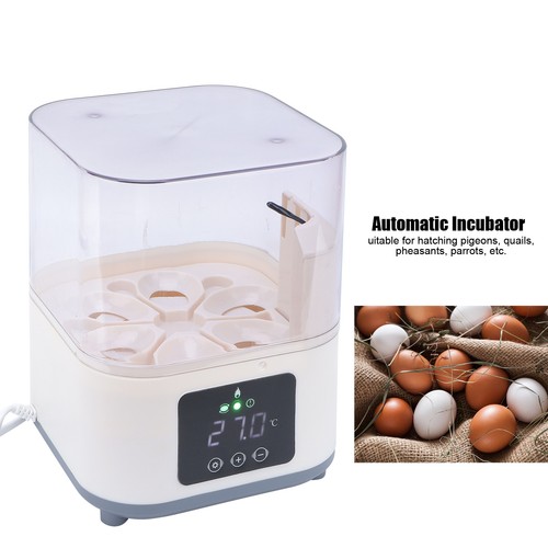 Hatching eggs incubator mini - hatching,