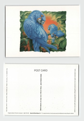 Postcard rachel lockwood - -,