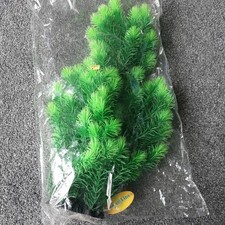 Huge Aquarline Plastic