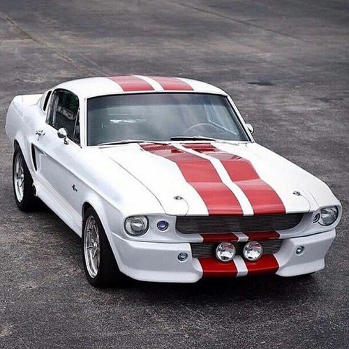 Decal sticker stripe kit - decal,