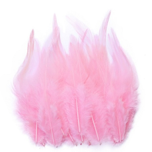 Colourful rooster feathers fly - rooster,