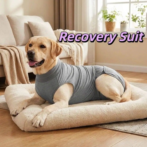 Anti licking vest - anti-licking,