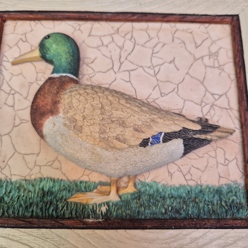 Michael duck wall - st,