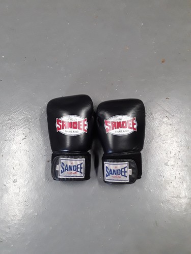 Sandee boxing gloves muay - boxing,