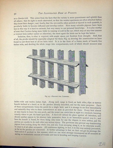 Original old antique print - original,