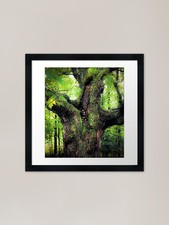 Fairy Wishing Tree Framed Art