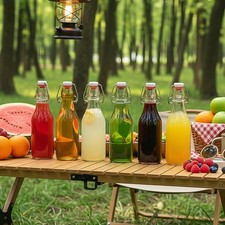 6pcs 500ml /250ml Glass Swing