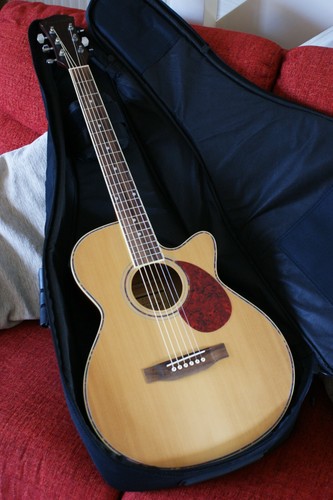 Freshman fa1an folk cutaway - freshman,