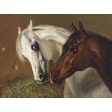 Volkers Two Horse Heads