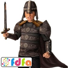 Rubies Official Norse Viking