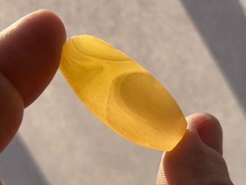 5gr natural baltic amber - natural,