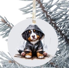 Bernese Mountain Dog Hanging