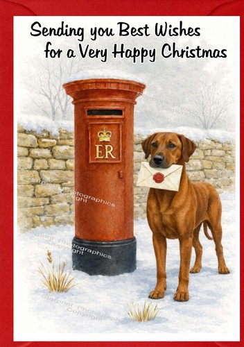 Rhodesian ridgeback dog - ridgeback,