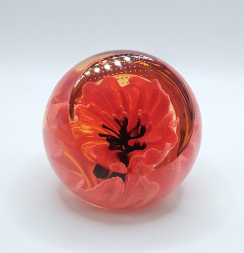 Caithness red poppy - caithness,