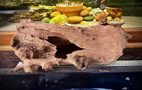Natural aquarium driftwood - natural,