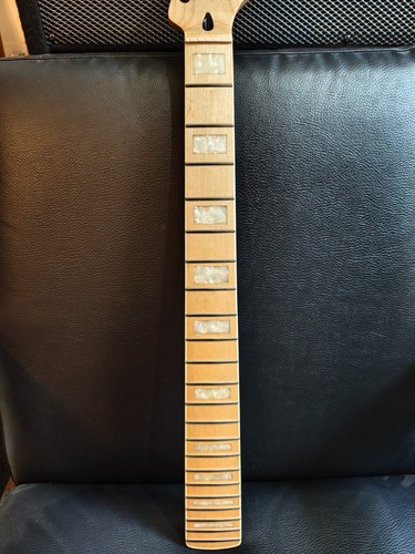 Electric guitar neck with - guitar,