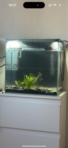 Aqua one 25l - aqua,