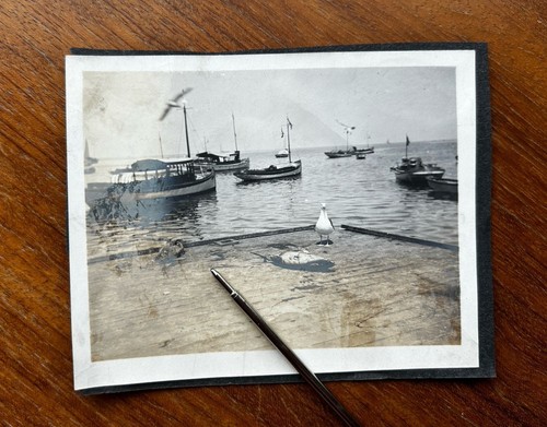 Antique 1910s catalina island - antique,