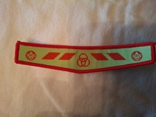 UK Scouting 1990's Scout Award