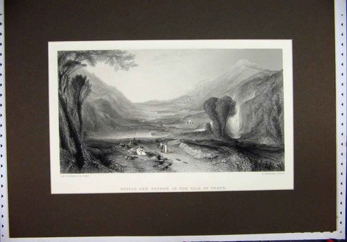 Original old antique print - original,