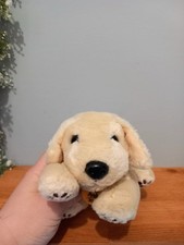 30 Years Anniversary Andrex Dog Plush Toy