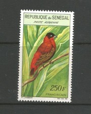 Senegal 1960 250F Bird, MNH.  SG237