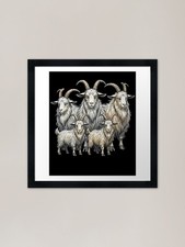herd of goats Framed Art Print