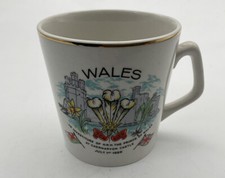 Prince Charles Investiture Mug