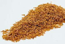 AQUARIUM FISH, KOI FOOD