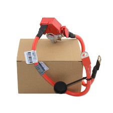 Pole positive battery blow off - positive,
