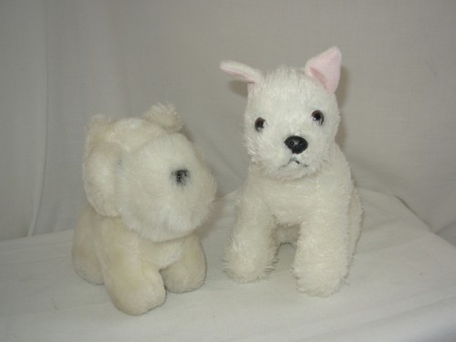 Lot westie dog - of, toys