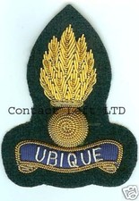 NEW ROYAL ENGINEERS OFFICERS