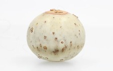 Unusual Vintage Studio Pottery Hanging Sculpture Signed PA