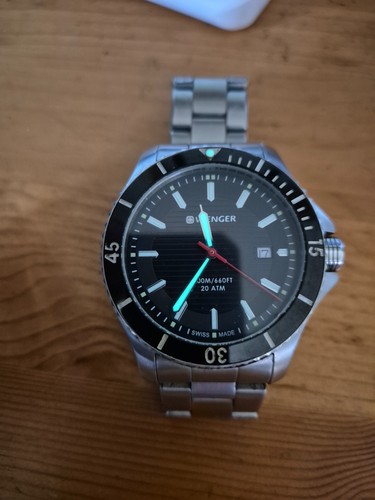 Wenger watch mens - watch,