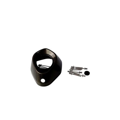 Akrapovic carbon fiber - carbon,