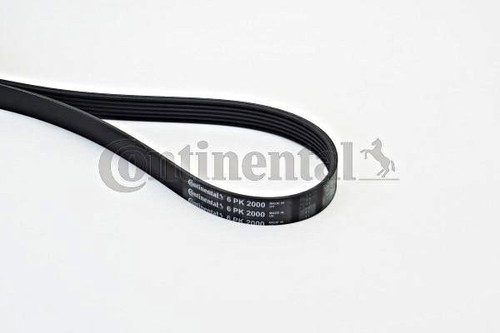 Ribbed belt contitech fits - v-ribbed,