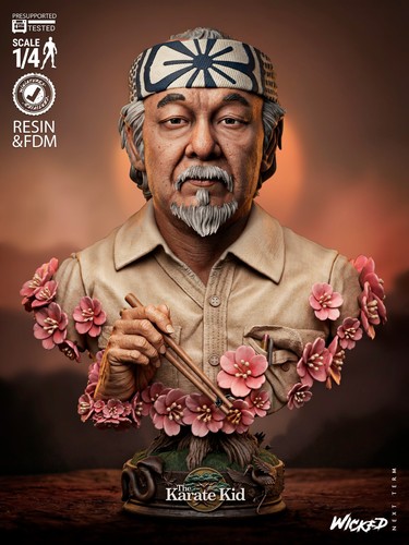 Miyagi karate kid - karate, 1/4
