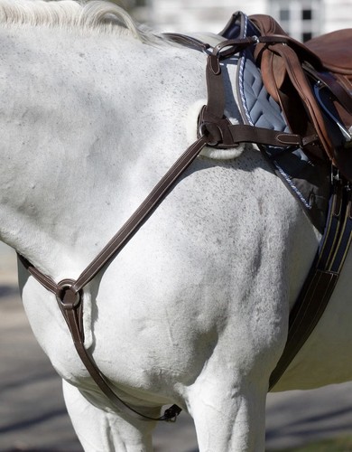 Equinavia saga point - equinavia,