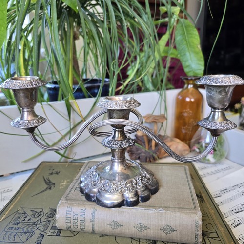 Vintage barker ellis - vintage, barker-ellis