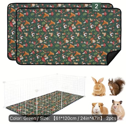 Pack guinea pig and c - and,