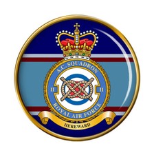 Squadron raf pin badge - 2, squadron,
