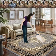 Traditional Large Rugs Living Room Rugs Bedroom Carpet Hallway Runners Floor Mat