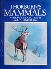 Thorburn's mammals By