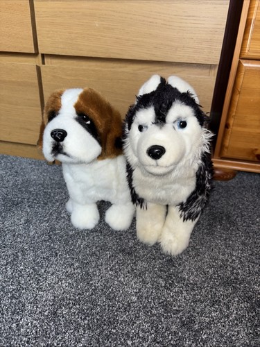 Husky and bernard - husky, st