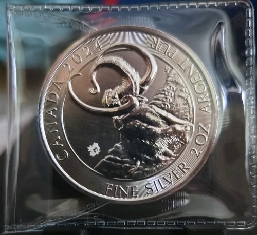 Royal canadian mint 2024 - royal,