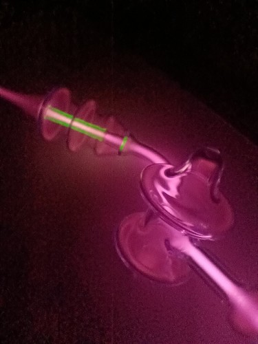 Violet wand ray - violet,